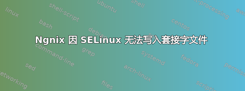 Ngnix 因 SELinux 无法写入套接字文件