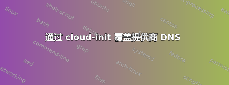 通过 cloud-init 覆盖提供商 DNS