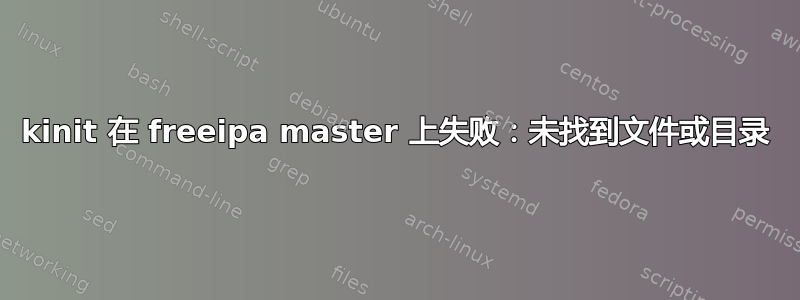 kinit 在 freeipa master 上失败：未找到文件或目录