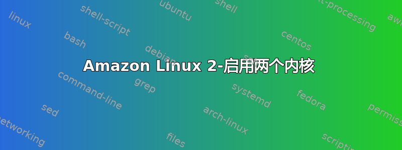 Amazon Linux 2-启用两个内核