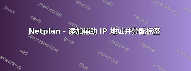 Netplan - 添加辅助 IP 地址并分配标签