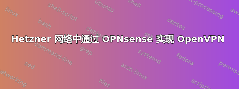 Hetzner 网络中通过 OPNsense 实现 OpenVPN