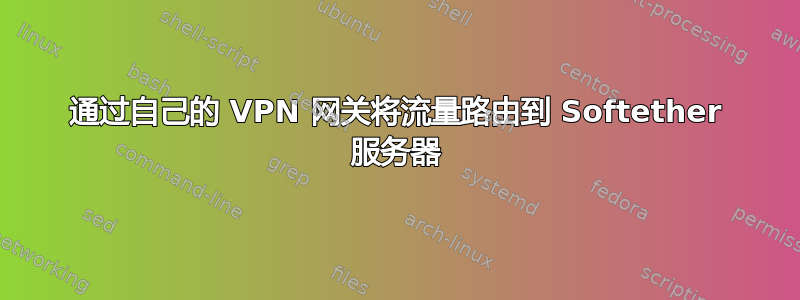 通过自己的 VPN 网关将流量路由到 Softether 服务器