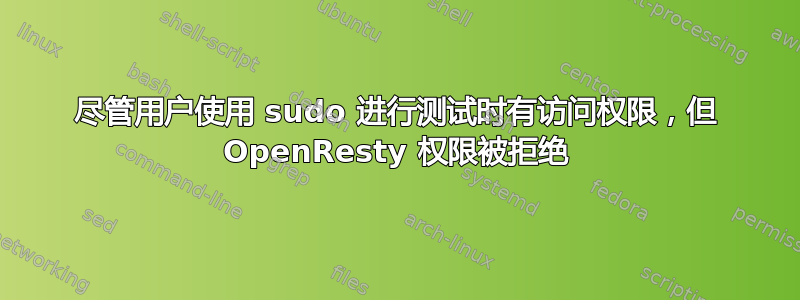 尽管用户使用 sudo 进行测试时有访问权限，但 OpenResty 权限被拒绝