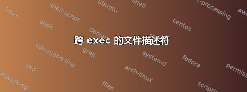 跨 exec 的文件描述符