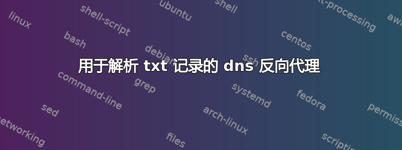 用于解析 txt 记录的 dns 反向代理