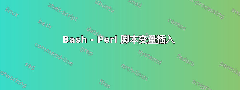 Bash - Perl 脚本变量插入