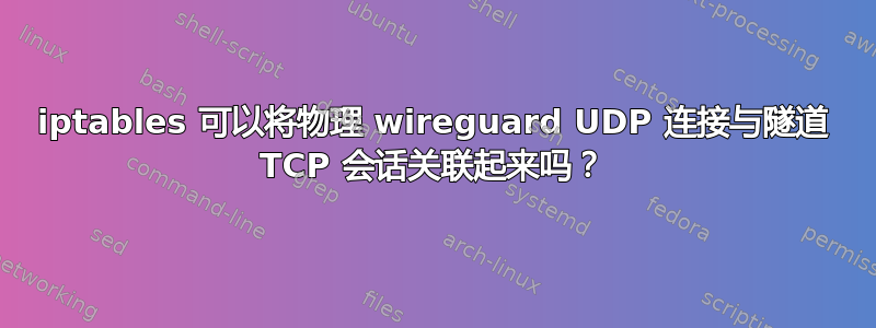 iptables 可以将物理 wireguard UDP 连接与隧道 TCP 会话关联起来吗？