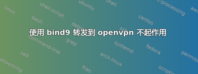 使用 bind9 转发到 openvpn 不起作用