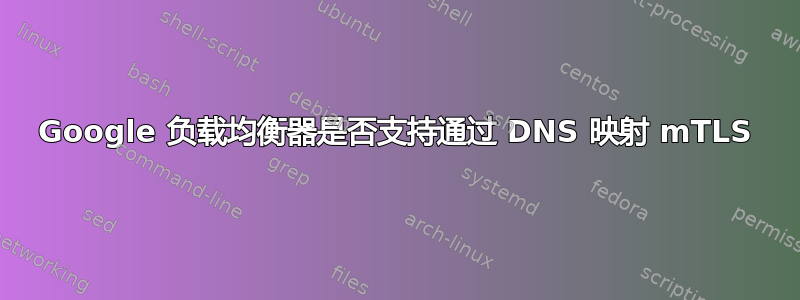 Google 负载均衡器是否支持通过 DNS 映射 mTLS