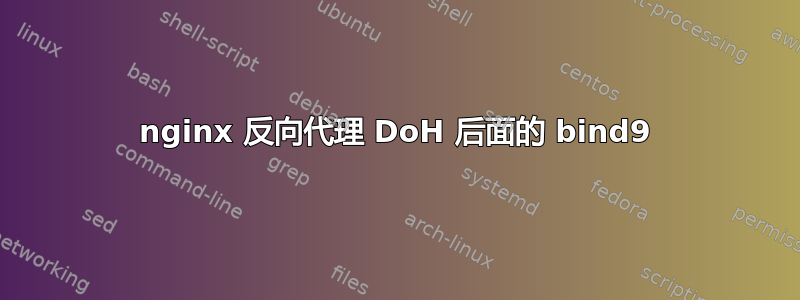 nginx 反向代理 DoH 后面的 bind9