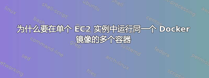 为什么要在单个 EC2 实例中运行同一个 Docker 镜像的多个容器