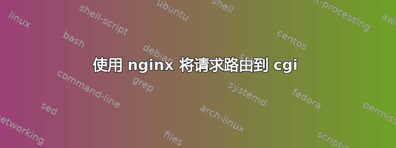 使用 nginx 将请求路由到 cgi