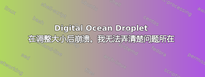 Digital Ocean Droplet 在调整大小后崩溃。我无法弄清楚问题所在