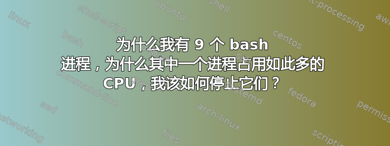 为什么我有 9 个 bash 进程，为什么其中一个进程占用如此多的 CPU，我该如何停止它们？