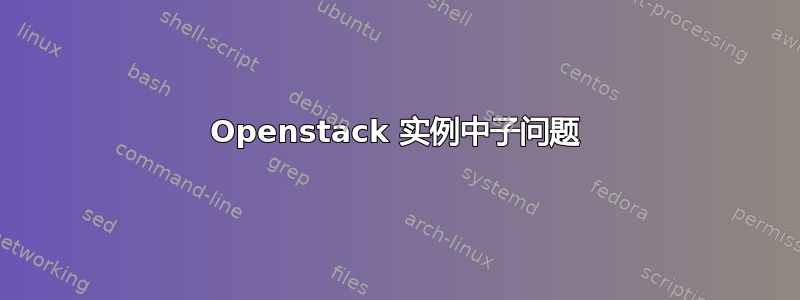 Openstack 实例中子问题