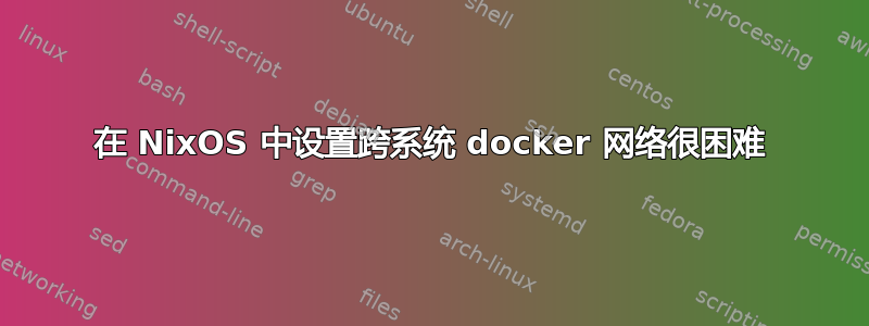 在 NixOS 中设置跨系统 docker 网络很困难