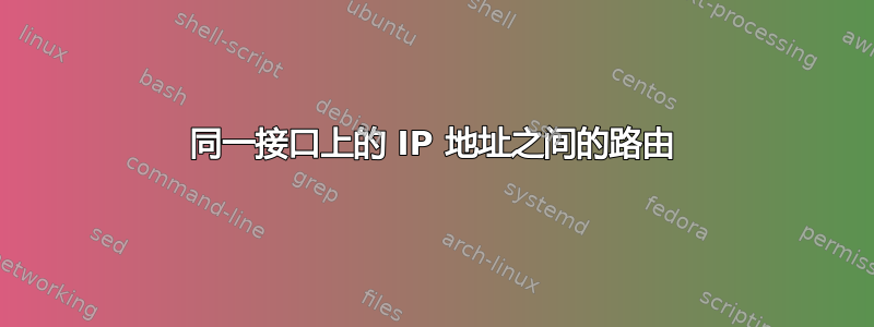 同一接口上的 IP 地址之间的路由