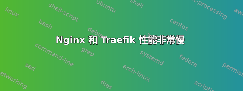 Nginx 和 Traefik 性能非常慢