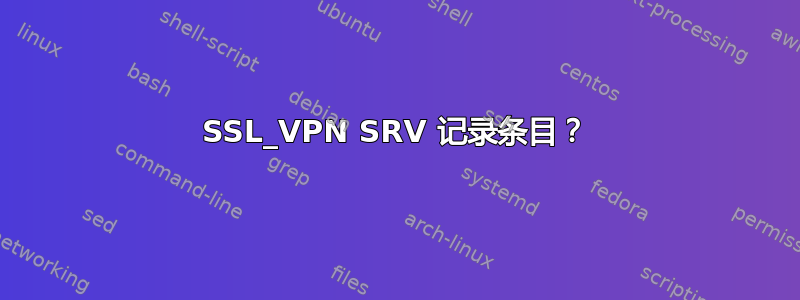 SSL_VPN SRV 记录条目？