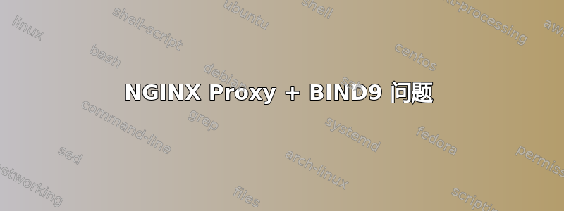 NGINX Proxy + BIND9 问题