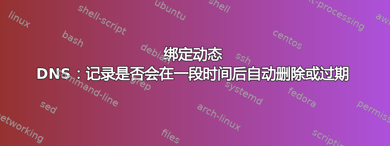 绑定动态 DNS：记录是否会在一段时间后自动删除或过期