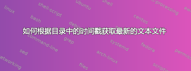 如何根据目录中的时间戳获取最新的文本文件