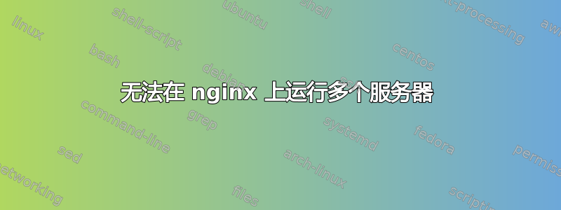 无法在 nginx 上运行多个服务器