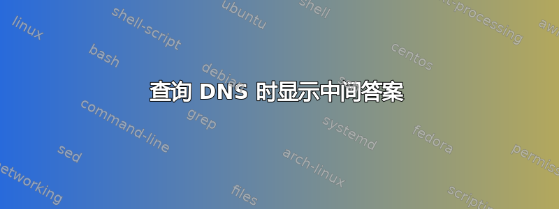 查询 DNS 时显示中间答案