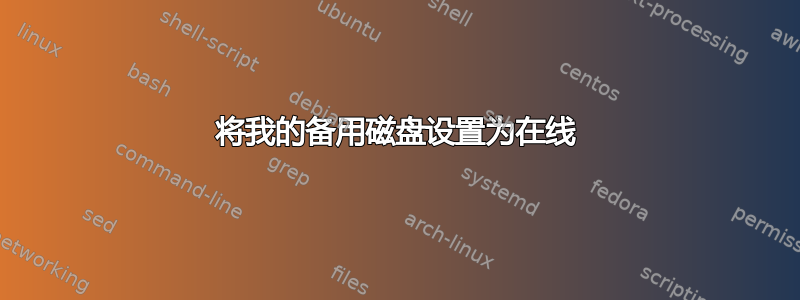 将我的备用磁盘设置为在线