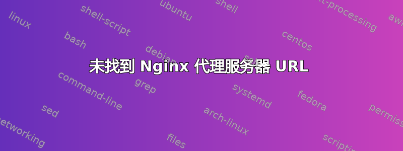 未找到 Nginx 代理服务器 URL