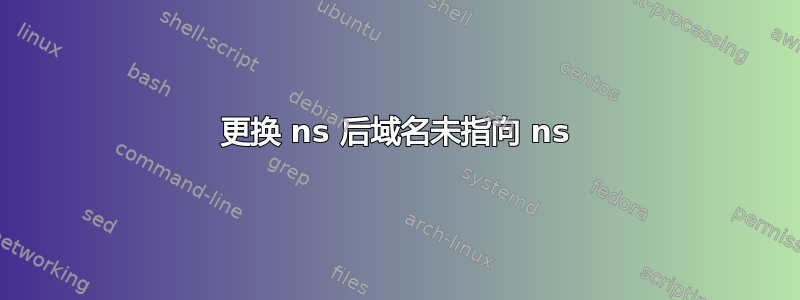 更换 ns 后域名未指向 ns