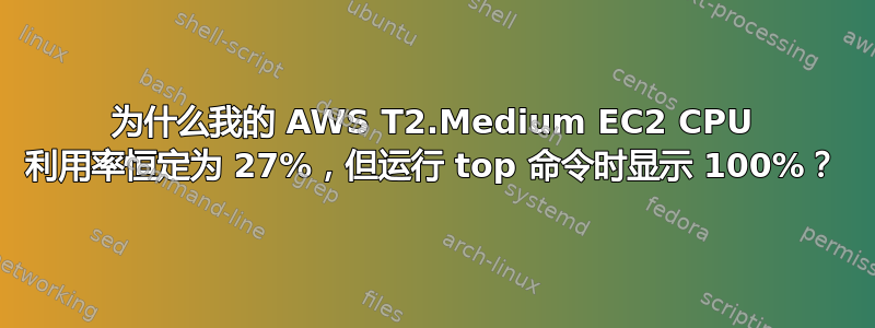 为什么我的 AWS T2.Medium EC2 CPU 利用率恒定为 27%，但运行 top 命令时显示 100%？