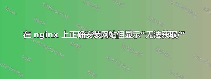 在 nginx 上正确安装网站但显示“无法获取/”