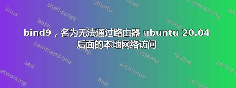 bind9，名为无法通过路由器 ubuntu 20.04 后面的本地网络访问