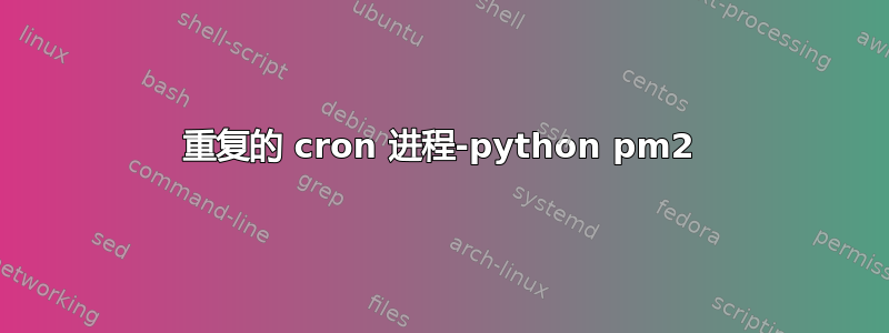 重复的 cron 进程-python pm2