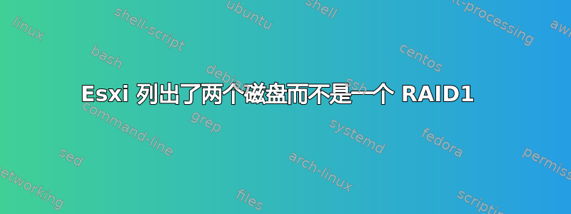 Esxi 列出了两个磁盘而不是一个 RAID1 