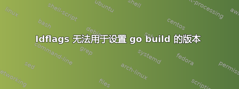 Idflags 无法用于设置 go build 的版本