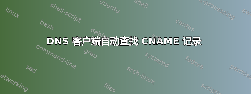 DNS 客户端自动查找 CNAME 记录