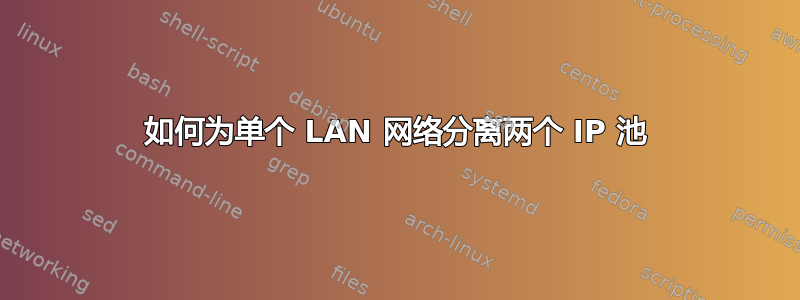 如何为单个 LAN 网络分离两个 IP 池