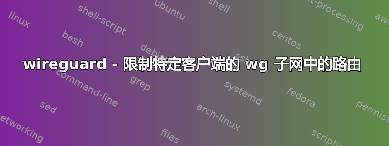 wireguard - 限制特定客户端的 wg 子网中的路由