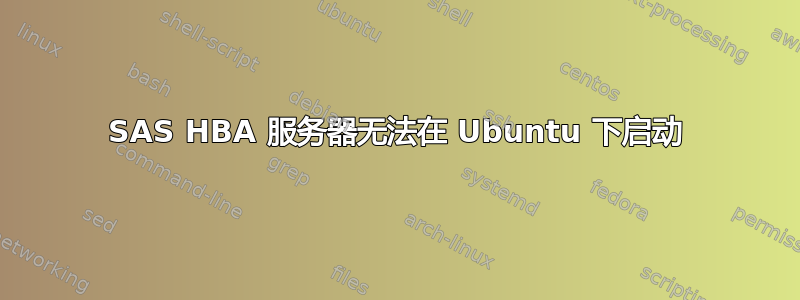 SAS HBA 服务器无法在 Ubuntu 下启动