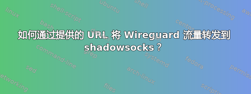 如何通过提供的 URL 将 Wireguard 流量转发到 shadowsocks？