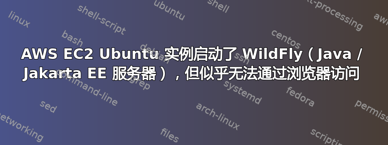 AWS EC2 Ubuntu 实例启动了 WildFly（Java / Jakarta EE 服务器），但似乎无法通过浏览器访问