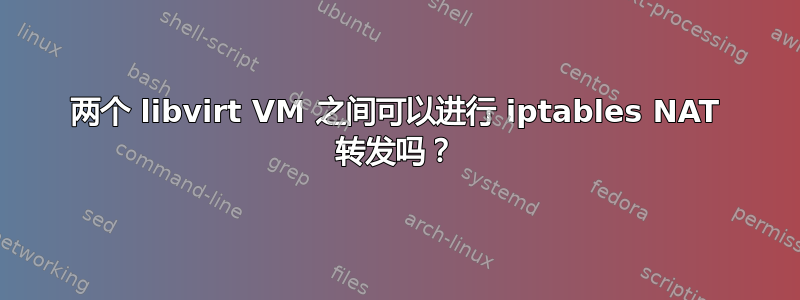 两个 libvirt VM 之间可以进行 iptables NAT 转发吗？