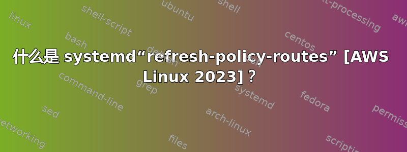 什么是 systemd“refresh-policy-routes” [AWS Linux 2023]？