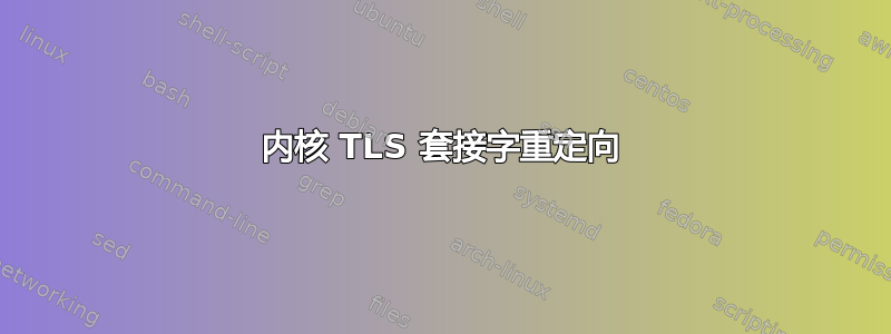 内核 TLS 套接字重定向