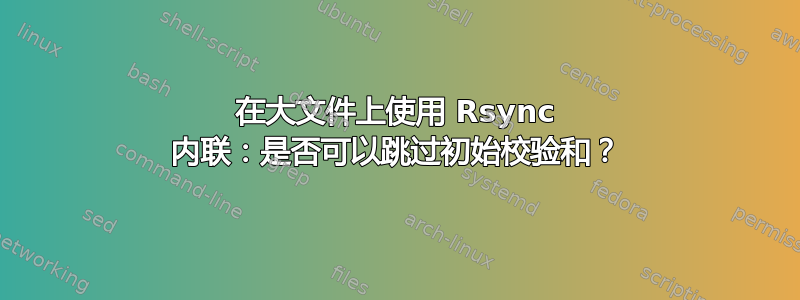 在大文件上使用 Rsync 内联：是否可以跳过初始校验和？