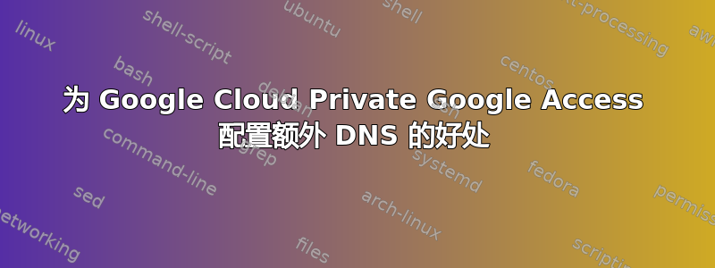 为 Google Cloud Private Google Access 配置额外 DNS 的好处