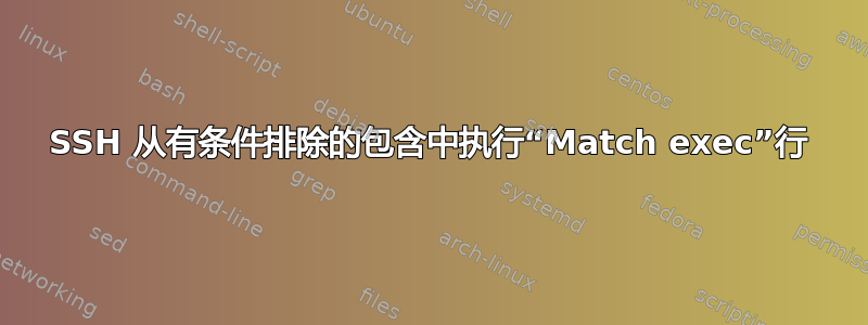 SSH 从有条件排除的包含中执行“Match exec”行